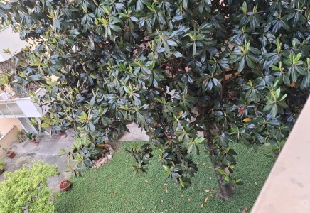 Image for Firenze, Piazza San Jacopino